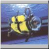 diver.jpg