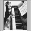 dogp.jpg